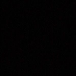 Meet your Posher, Tia